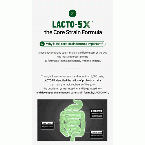 مکمل سبز لاکتوفیت کنترل قند خون و بهبود سلامت روده LACTO-FIT Blood Sugar Care