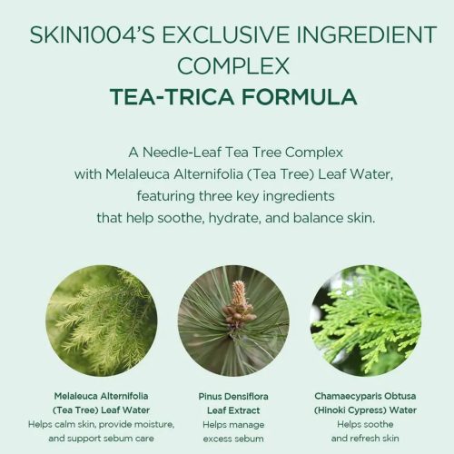 پک مسافرتی محصولات ضد جوش تی تریکا اسکین 1004 SKIN1004 Madagascar Centella Tea-Trica Travel Kit
