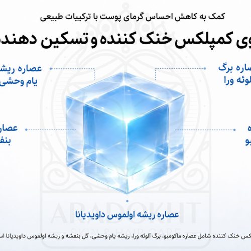 ژل کرم کاتچین و هیالورونیک اسید آنوا خنک کننده، تسکین دهنده، آبرسان و کنترل منافذ ANUA Catechin Hyaluronic Acid Catechin Pore Smoothing Cooling Gel Cream