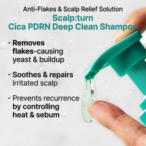 شامپو ضد شوره، خنک کننده، پاک کننده عمقی و کنترل چربی سیکا PDRN لیلیوئه lilyeve Scalp Turn Cica PDRN Deep Clean Shampoo