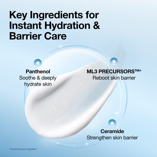 کرم ترمیم کننده سد دفاعی و مرطوب کننده روزانه آنوا Anua Barrier Reboot Daily Moisturizer