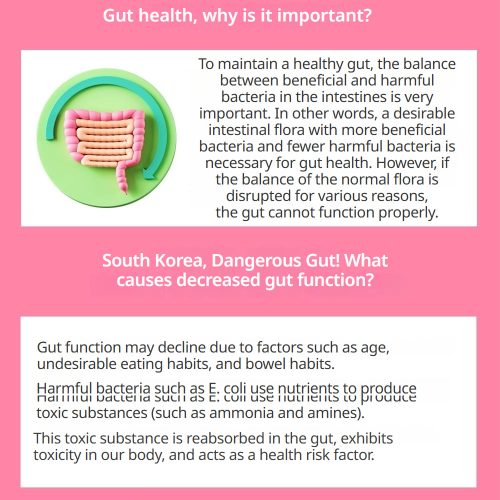 مکمل پری بیوتیک فروکتوالیگوساکارید FOS چونگ کان دانگ سلامت روده و دستگاه گوارش Chong Kun Dang Healthcare Prebiotics Fructooligosaccharide FOS