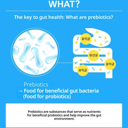 مکمل پری بیوتیک فروکتوالیگوساکارید FOS چونگ کان دانگ سلامت روده و دستگاه گوارش Chong Kun Dang Healthcare Prebiotics Fructooligosaccharide FOS